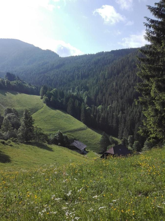 Berghuette Hochhalt Unteralpe