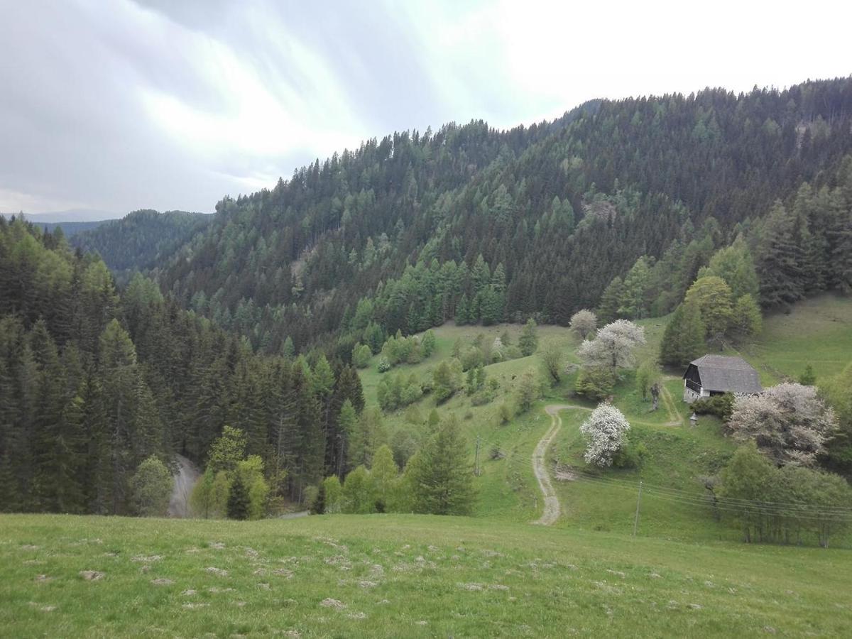 Berghuette Hochhalt *