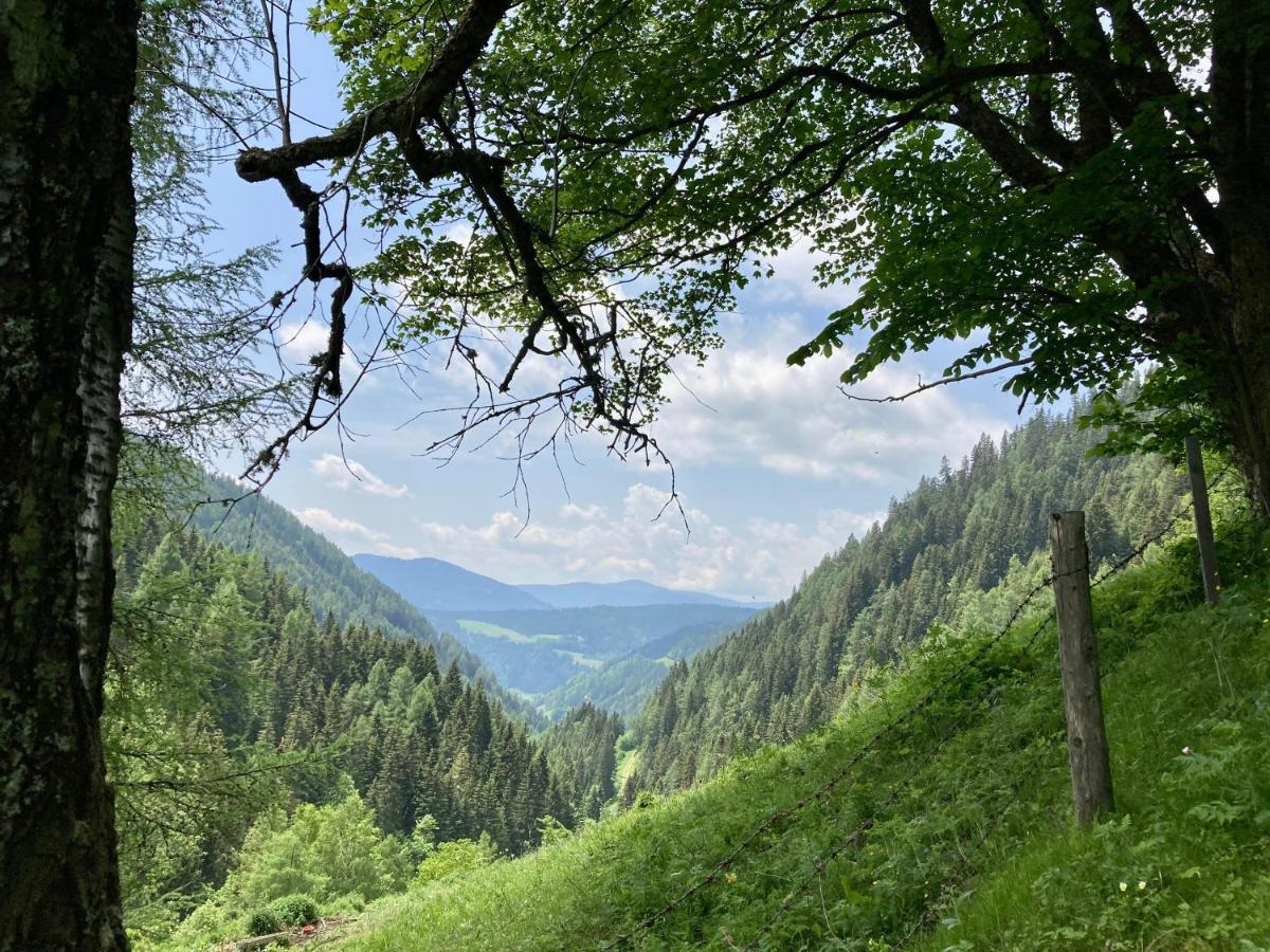 Holiday home Berghuette Hochhalt Unteralpe