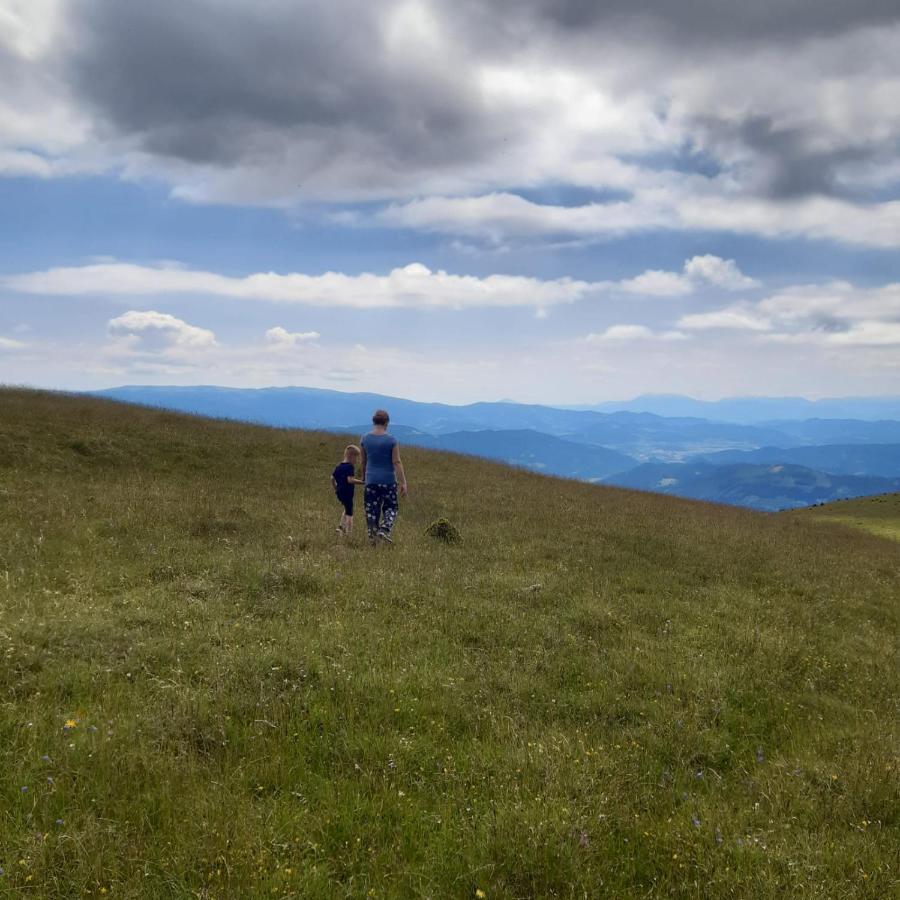 Vakantiehuis Berghuette Hochhalt Unteralpe