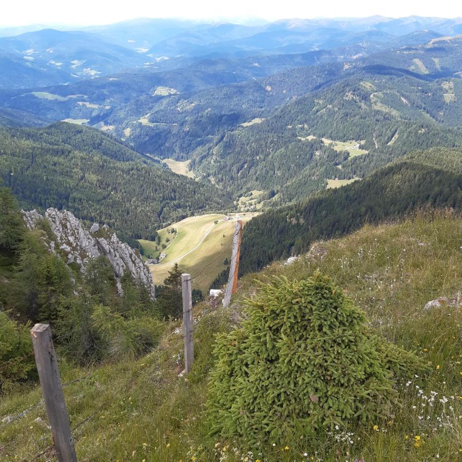Berghuette Hochhalt Unteralpe