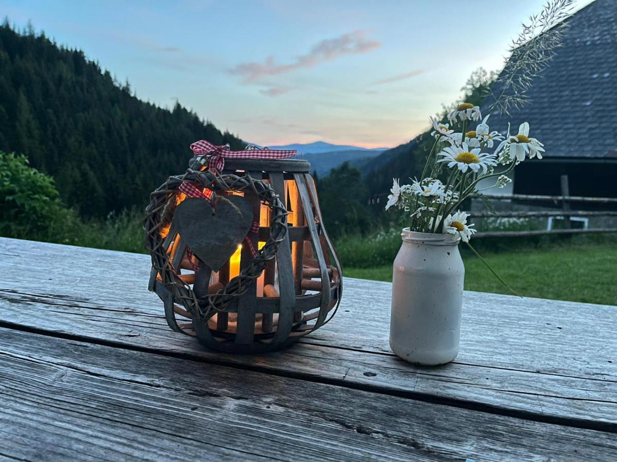 Berghuette Hochhalt Holiday home